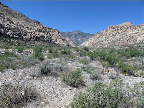 Icebox Canyon