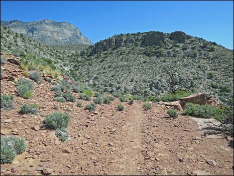 Keystone Loop