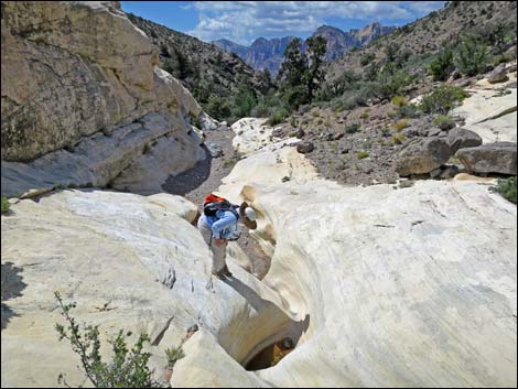 Keystone Loop