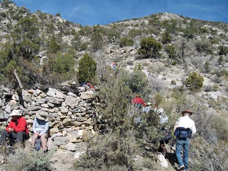 La Madre Miner's Cabin