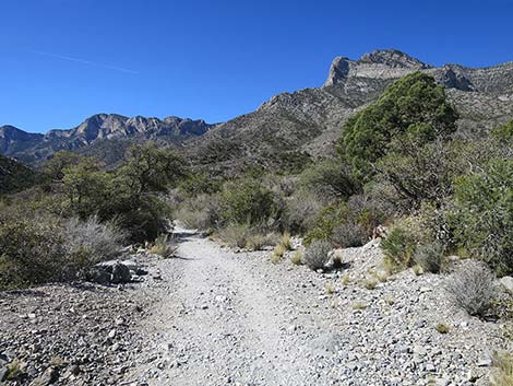 White Rock Loop Trail