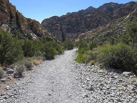 White Rock Loop Trail