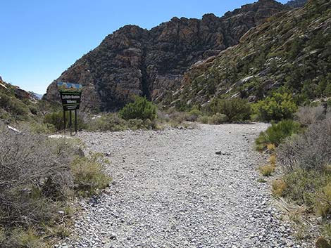 White Rock Loop Trail