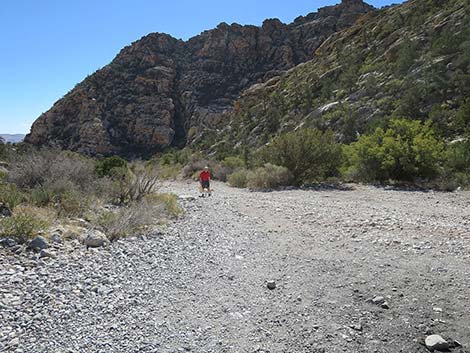 White Rock Loop Trail