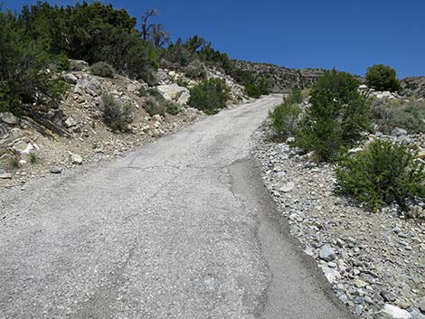 Carole Lombard Crash Site