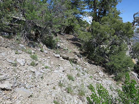 Carole Lombard Crash Site