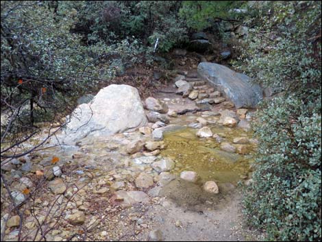 Lower Lost Creek Falls