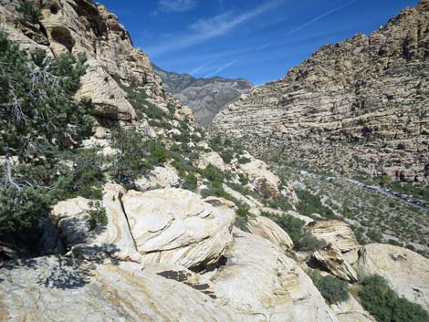 Upper Lost Creek Falls