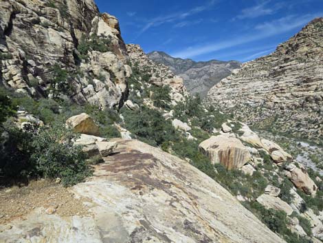 Upper Lost Creek Falls