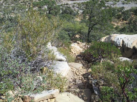 Upper Lost Creek Falls