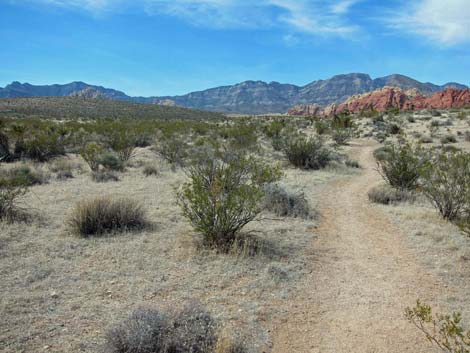 Ride Share Deluxe Loop Trail