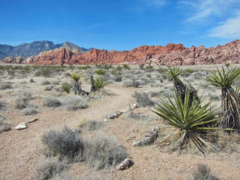 Ride Share Deluxe Loop Trail