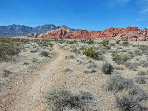 Ride Share Deluxe Loop Trail