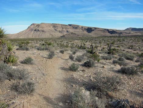 Moenkopi Trail