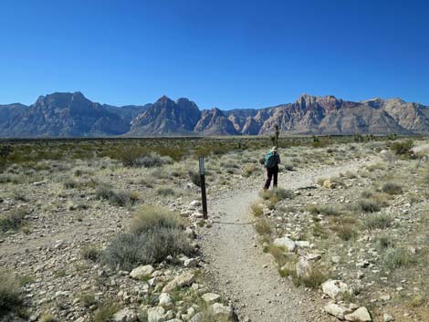 Ride Share Deluxe Loop Trail