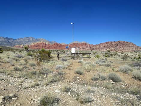 Ride Share Deluxe Loop Trail