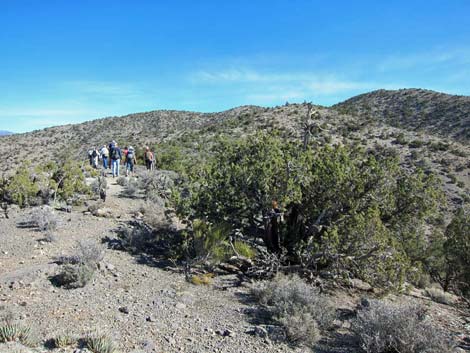 Mountain Spring Peak Route