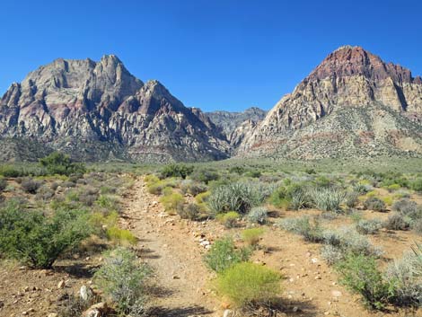 Oak Creek Canyon