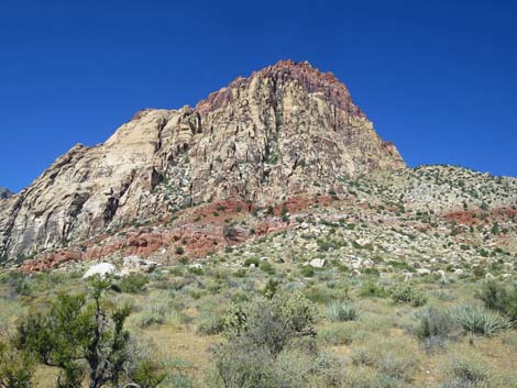 oak creek canyon