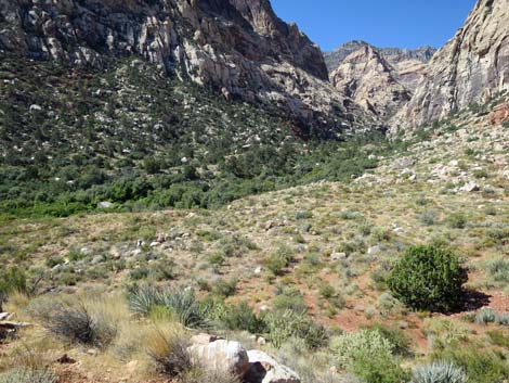 oak creek canyon