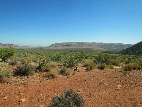 Oak Creek Canyon Trail