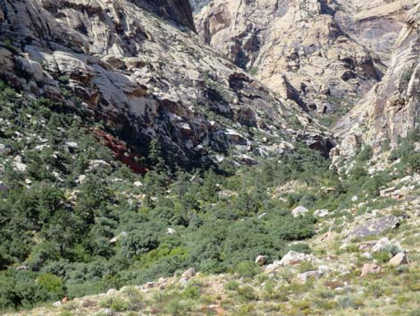 oak creek canyon