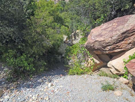 oak creek canyon