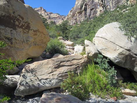 oak creek canyon