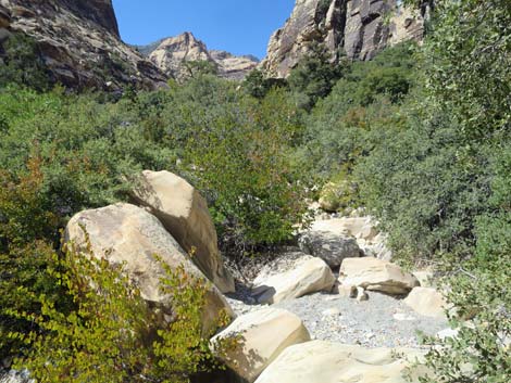 oak creek canyon