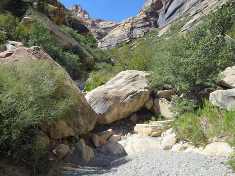 oak creek canyon