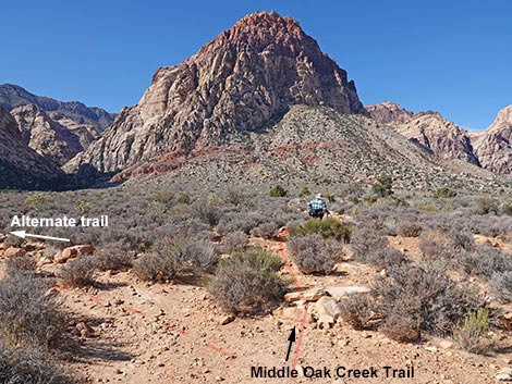 Middle Oak Creek Trail