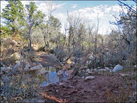 South Oak Creek Trail