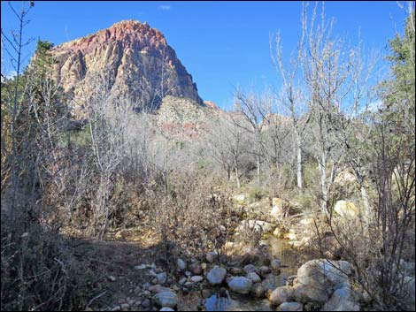 South Oak Creek Trail