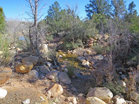 South Oak Creek Trail