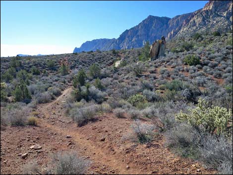 South Oak Creek Trail