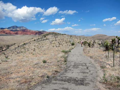 Overlook Trail