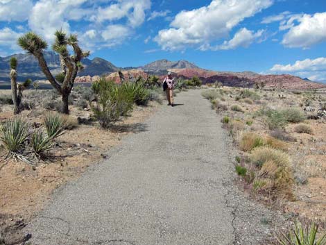 Overlook Trail