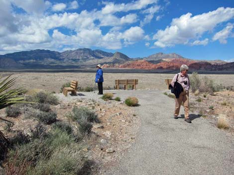 Overlook Trail