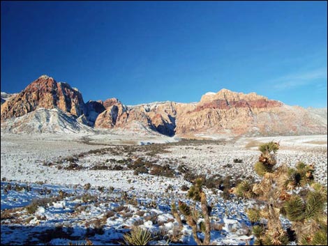 Red Rock  Overlook