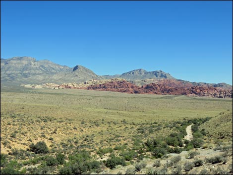 Red Rock Overlook