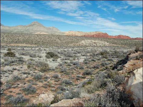 Red Rock Wash Overlook