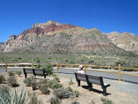 Red Rock Wash Overlook