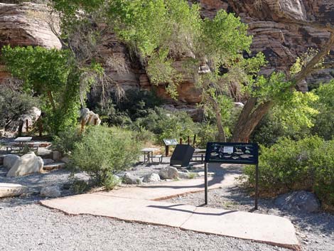 Willow Spring Picnic Area