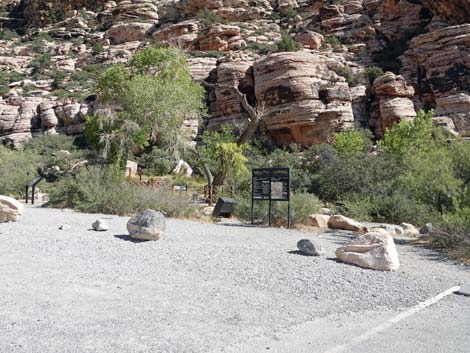 Willow Spring Picnic Area