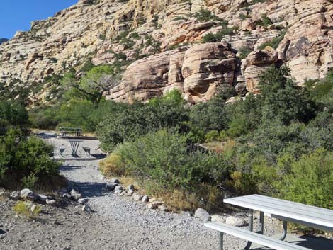 Willow Spring Picnic Area