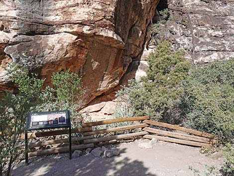 Petroglyph Wall Trail