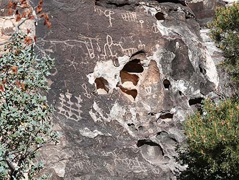 Petroglyph Wall Trail