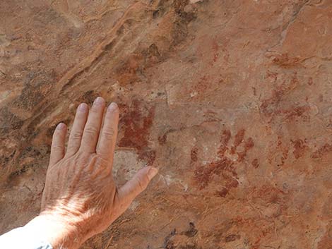 Petroglyph Wall Trail