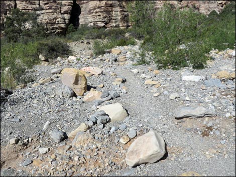 Petroglyph Wall Trail