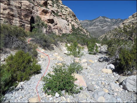 Petroglyph Wall Trail